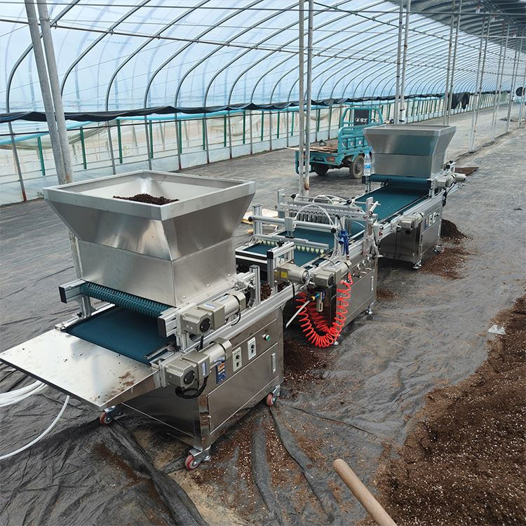 Automated Nursery Equipment fo - Nursery ulasan dan harga