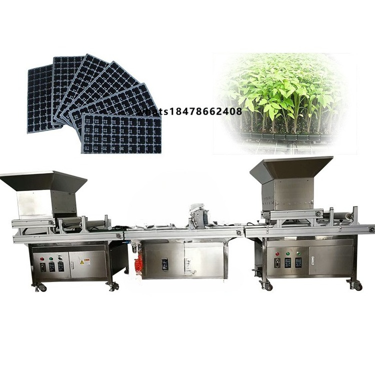 Greenhouse Vegetable Nursery M - Nursery ulasan dan harga