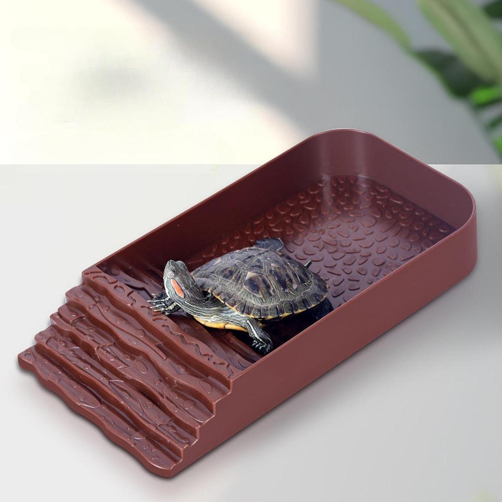 Large Turtle Water Dish Reptil - Feeding ulasan dan harga